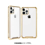 VNWO12GD6.1 [iPhone 12 /iPhone 12 Pro WonderProtect GD]