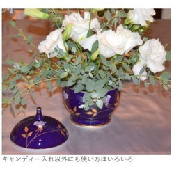 ヨドバシ.com - 香蘭社 R325-EC11 [ルリ薔薇・キャンディーポット