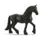 13906 [Horse Club フリジア馬（メス）]
