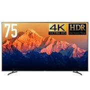 75インチ4Kディスプレイ DKS-4K75D DMM.make 75インチ 4K ディスプレイ