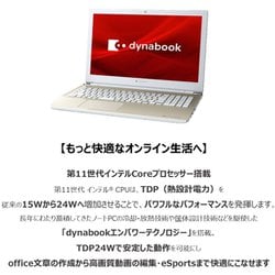 dynabook X6 P1X6RDBG