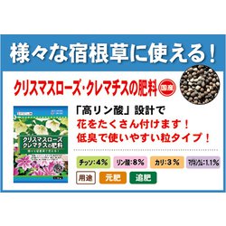 ヨドバシ Com 東商 クリスマスローズ クレマチスの肥料 500g 通販 全品無料配達