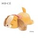 80107-22 ディズニー モチハグ 抱きまくら M レディ [キャラクターグッズ]