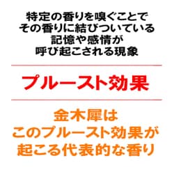 ヨドバシ.com - カメヤマ I1055-03-60 [花げしき 金木犀の香り ヨドバシ.com - カメヤマ I1055-03-60 [花げしき 金木犀の香り
