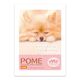 BAC64128 [入浴剤 BATH POWDER DOG Image POME]