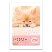 BAC64128 [入浴剤 BATH POWDER DOG Image POME]