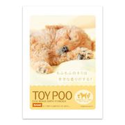 BAC64129 [入浴剤 BATH POWDER DOG Image TOY POO]