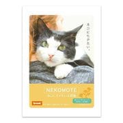 BAC64131 [入浴剤 BATH POWDER NEKOMOTE カモミール]
