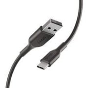 Playa USB C ケーブル 1m 黒 PMBK2001yz1M