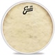EVANS エヴァンス ドラムヘッド Calftone 14” TT14C7