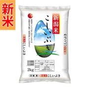 精米 新潟県産 こしいぶき 2kg 令和7年産