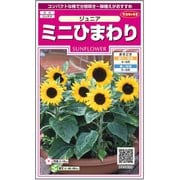 ミニひまわり ジュニア 約15粒 1袋