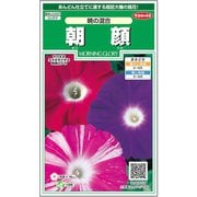 朝顔 暁の混合 約10粒 1袋