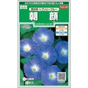 朝顔 西洋系ヘブンリーブルー 約15粒 1袋