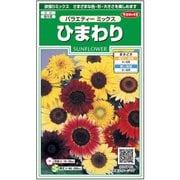ひまわり バラエティーミックス 約20粒 1袋