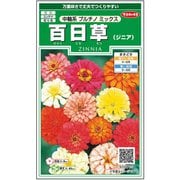 百日草 中輪系プルチノミックス 1袋