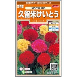 ヨドバシ Com サカタのタネ 久留米けいとう 切り花用混合 約140粒 1袋 通販 全品無料配達