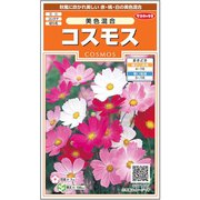 コスモス 美色混合 1袋