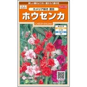 ホウセンカ カメリア咲き混合 約65粒 1袋