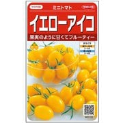 イエローアイコ ミニトマト 約12粒 1袋