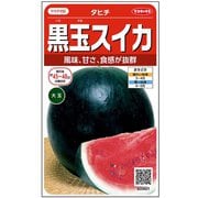 黒玉スイカ タヒチ 約12粒 1袋
