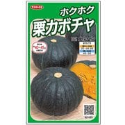 ホクホク栗カボチャ メルヘン 1袋