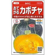 おてがるカボチャ みやこ 1袋
