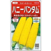 トウモロコシ ハニーバンタム 1袋