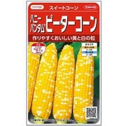 トウモロコシ ハニーバンタムピーターコーン 1袋