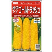 トウモロコシ みわくのコーン ゴールドラッシュ 約62粒 1袋