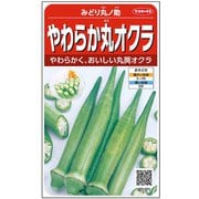 やわらか丸オクラ みどり丸ノ助 約95粒 1袋
