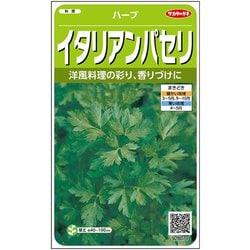 ハーブ イタリアンパセリ 1袋