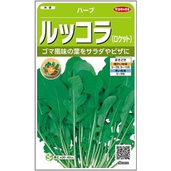 ハーブ ルッコラ 1袋
