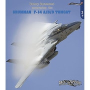 アメリカ海軍 空母USS セオドア・ルーズベルトの1日 F-14 A/B/D トムキャット [DVD]