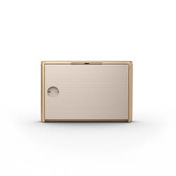 【美品】バング アンド オルフセンBeosound Level Beosound Level - ポータブルホームスピーカー | Bang & Olufsen