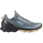 クロス オーバー ゴアテックス CROSS OVER GORE-TEX W L41286400 STORMY WEATHER/BLACK/ALMOND CREAM 24cm [ハイキングシューズ レディース]