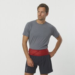 SALOMON パルスベルト 高知ベリー / LC1521300 PULSE BELT GOJI ヨドバシ.com - サロモン SALOMON パルス ベルト PULSE BELT