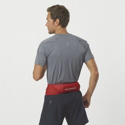 SALOMON パルスベルト 高知ベリー / LC1521300 PULSE BELT GOJI ヨドバシ.com - サロモン SALOMON パルス ベルト PULSE BELT