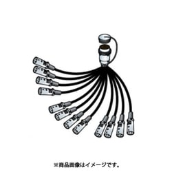 12S2N1 [12ch セパレートコード]