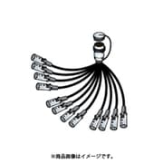 12S2N1 [12ch セパレートコード]