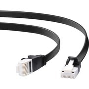 LANケーブル/CAT6A/爪折れ防止/フラット/10m/ブラック LD-GFAT/BK100