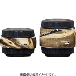 LCEXRM4 [レンズカバー キヤノン Extender Set RF マックス4]