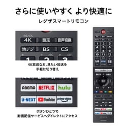 ヨドバシ.com - 東芝 TOSHIBA 55Z740XS [REGZA(レグザ) Z740XSシリーズ