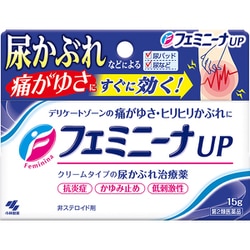 ヨドバシ Com 小林製薬 フェミニーナup 15g 第2類医薬品 塗り薬 セルフメディケーション税制対象商品 通販 全品無料配達