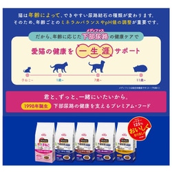 メディファス 下部尿路の健康維持 チキン味 ドライフード 3kg×4袋 ヨドバシ.com - ペットライン メディファス 1歳から チキン味