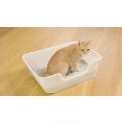 ヨドバシ.com - ライオン商事 獣医師開発 ニオイをとる砂専用 猫トイレ 