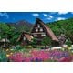 31-031 日本の風景 花咲く白川郷-岐阜 [ジグソーパズル パズルの超達人EX スーパースモール 1053ピース（完成サイズ：26×38cm）]