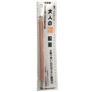 大人の薄橙鉛筆 2㎜芯 六角軸 OTP-IE580PO