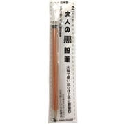 大人の黒鉛筆 2㎜芯 六角軸 OTP-IE580BK