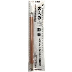 大人の白鉛筆 2㎜芯 六角軸 OTP-IE580WH